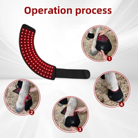 Nouveau lancement de produit batterie intégrée flexible 660nm 850nm soulagement de la douleur infrarouge thérapie par la lumière rouge bottes d'enveloppement de sabot de cheval