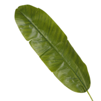 300cm Hot Sale Kunden spezifische künstliche Bananen baum einpolige grüne Pflanze für Wohnkultur