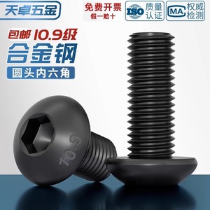 Tianzhuo Hardware Pan Head Hex Socket Cap Screws M2 M3 M4 M5 M6 M8 M10 M12 M16 M20 Grade 10.9 Black Alloy Steel Fasteners - Product Image 2