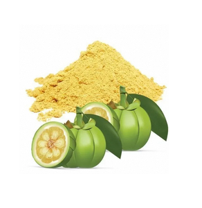 Garcinia Extract Natural Herbal Powder Fine Quality Plant Extract for Wellness Use and Bulk Supply - Product Image 3