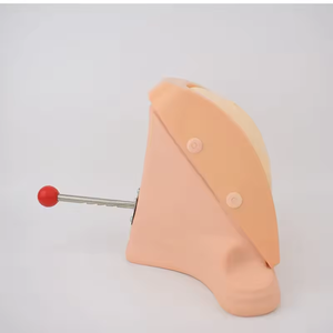 Perlengkapan pengajaran sains medis model pelatihan ginekologi jahitan <span class=keywords><strong>Vagina</strong></span> bantalan pelatihan menjahit kutang - Product Image 3