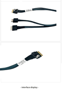 Günstiges Amphenol-Kabel SlimSAS SFF-8654 8X zu Oculink SFF-8611 4X*2 Server-Verbindungskabel für Festplatten-Backplane