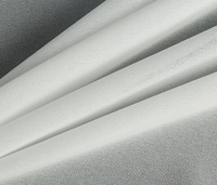 Tissu d'interfaçage thermocollant tissé à double point, PA PES 30D 50D 75D, pour machines à jet d'eau, matériaux de couture en Chine