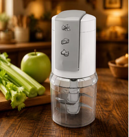 Hachoir Électrique à Aliments Secs 400W, Nouveau Design, Mini Bol en Plastique de Qualité Alimentaire pour Appareils de Cuisine