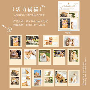 45 pezzi adesivi cuore amore Pet serie animale coreano Lomo scrivibile mano Account materiale adesivi decorazione fai da te 6 modelli - Product Image 6