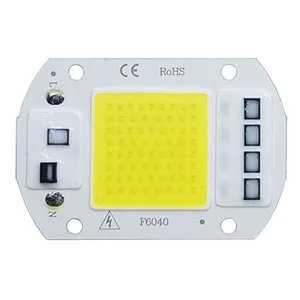 Chip Đèn LED COB Bóng Đèn LED AC 220V 10W 20W 30W 50W IP65 IC Thông Minh Công Suất Cao Tự Làm Đèn Chiếu Sáng Đèn Chip Ngoài Trời