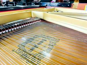 <span class=keywords><strong>Piano</strong></span> de cola asequible, bien mantenido, con sonido claro y tacto sensible, ideal para uso doméstico y lecciones privadas. - Product Image 3