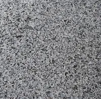 Pabrik Cina Kualitas Tinggi Tambang Tua G654 Granit Sesame Hitam Honed Selesai Hitam Granit Batu Alam untuk Dijual
