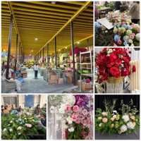 Calla artificielle de haute qualité, 62 cm de long, parfaite pour la fête des mères, Noël, les mariages blancs ou la décoration de la maison