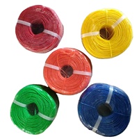 Rouleau de ficelle de pêche en nylon PP, cordon torsadé en plastique, cordes de 4 mm et 3 mm pour emballages