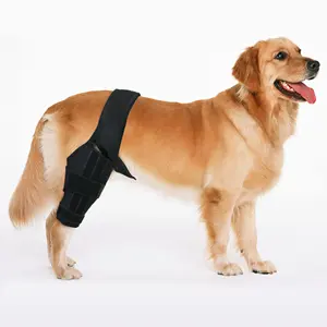 Attelle de genou pour chien avec blessure au Ligament croisé, douleur articulaire et douleur musculaire, meilleure récupération avec attelle de genou pour chien