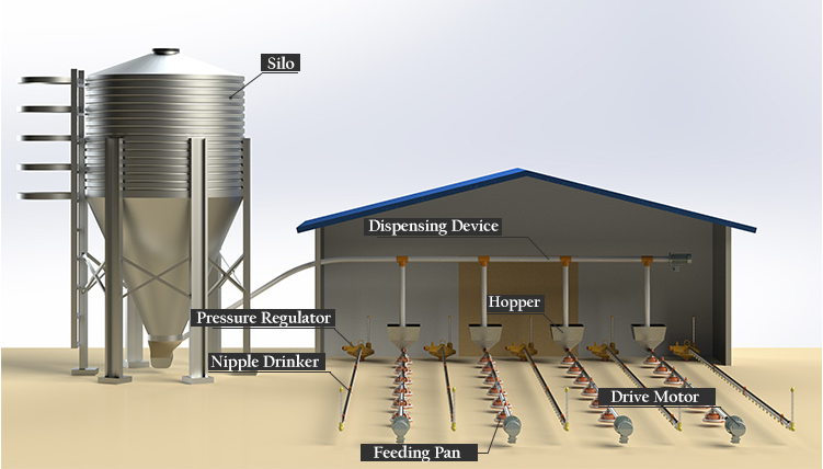 Poultry Farming Automatic Chicken Feeding Pan System Broiler Breeder Feeding Line