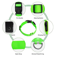 Collier lumineux pour chien rechargeable par USB, en nylon, clignotant, lumineux, sécurité nocturne, collier pour animaux de compagnie, lumineux dans le noir, collier LED pour chien