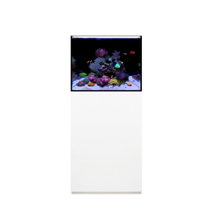 60cm 2ft 60 Gallon 10mm Ultra Low Iron Glass Saltwater Marine Small Aquarium <strong>Tank</strong> with Cabinet and Sump Aquariums &amp; Accessories - Product Image 6