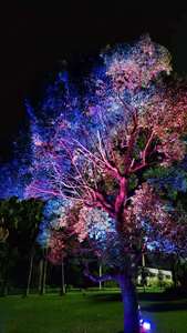 Luces LED para Árboles de Cerezo de Exterior, Color Personalizado, IP65, Venta al Por Mayor de Fábrica, Garantía de 1 Año, Regulables, para Jardín y Patio - Product Image 1