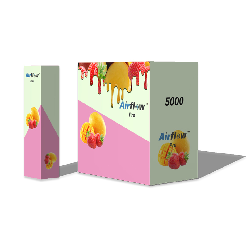 Wholesale High Quality OEM Service 6ml 5000puffs Disposable Electronic Ecigarette Sgl Vape pen