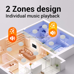 8*30W Alexa <b>Amplifier</b> Ceiling <b>Speaker</b> Wall-Mounted Display USB Powered WiFi Supported Two Zones Playback Tuya Host - Product Image 4