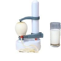 Hoogwaardige multifunctionele keukenhulpjes fruit- en groente elektrische automatische plastic fruit schiller met roestvrijstalen mes