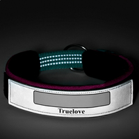 Collier pour chien Truelove de haute qualité, multifonctionnel, en nylon résistant, réglable, doux, réfléchissant, luxueux et tendance