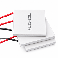 Module de refroidissement thermoélectrique Peltier TEC1-12702 12V 2A 30*30*3.5mm pour réfrigérateur de beauté et refroidisseur de téléphone