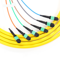 Câble Trunk MPO MTP Monomode OS2 Multimode OM3 OM4 8, 12, 24, 48 Fibres pour Communication 5G