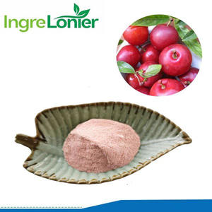 Fabricantes suministro de alta calidad Soluble en agua Cerasus Humilis fruta en polvo calcio fruta en polvo con el mejor precio - Product Image 2