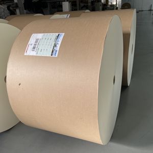 Papier Cupstock, papier enduit de PE en rouleau pour la fabrication de gobelets en papier - Product Image 6