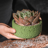 Pots à succulentes en ciment texturé, best-sellers transfrontaliers pour la région nordique ; Jardinières créatives respirantes pour bureau
