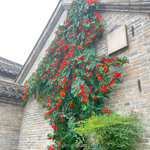 Mur de fleurs artificielles en forme de trompette pour toile de fond photo, décoration de mariage, fête, cour et aménagement paysager - Product Image 3