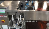 Wanlisonic Machine à snacks Machine à ensacher semi-automatique pour gâteau et pain en triangle pour équipement de boulangerie