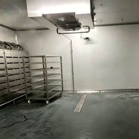 Machine de décongélation à basse température et haute humidité avec revêtement intérieur en acier inoxydable pour un nettoyage facile.