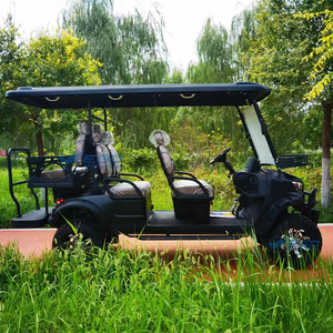 Voiturette de golf électrique au lithium 60V 2, 4 ou 6 places de Chine à vendre – Véhicule de club de golf chinois - Product Image 6
