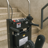Chariot monte-escalier électrique à batterie lithium, grue à chenilles, plateforme 300 kg, outils OEM