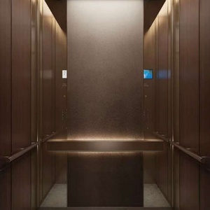 Ascensor de Pasajeros con Tracción Eléctrica de 400kg/600kg, Elevador Residencial para Interiores y Exteriores, para 4-8 Personas - Product Image 1