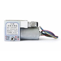 Pompe 12V sans balais à double chambre micro 32, débit stable, 4L/min, système de contrôle OEM de haute qualité garanti