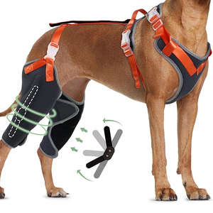OEM tutore per ginocchio per cane stracciato strappo per <span class=keywords><strong>la</strong></span> zampa posteriore supporto luxing <span class=keywords><strong>rotula</strong></span> legamento crociato sollievo articolare dolore guaina per guanciale del cane - Product Image 1