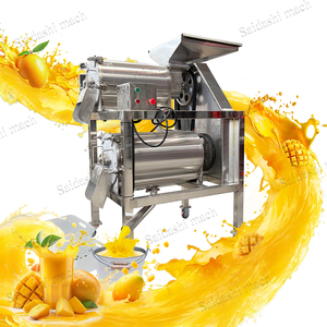 Roestvrijstalen Automatische Rode Bayberry Fruitzaadverwijderaar Klopper Fruitpulper Machine - Product Image 1