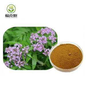Extrato de Valeriana Officinalis em Pó Focus Bulk 0,8% Ácido Valérico Extrato de Raiz de Valeriana - Product Image 3