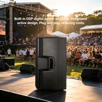 Enceinte de scène active en plastique 15 pouces 500W RMS Classe D DSP Bi-Amplifiée pour diaphragme en alliage de titane aimant néodyme portable sur pied