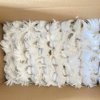 Plumes de coq et de poulet blanches teintées en vrac pour artisanat, matériel de montage de mouches, accessoires pour boucles d'oreilles, décoration de fête et de maison
