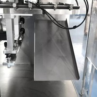 Machine automatique de remplissage de sacs à bec, Machine d'emballage de savon visqueux, détergent liquide