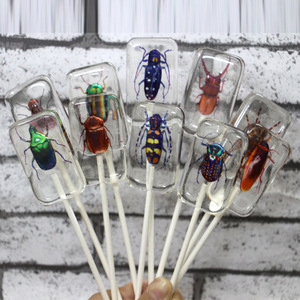 Nuevo Producto Creativo, Caramelo con Forma de Insecto Hecho a Mano, Piruleta de Insecto, Caramelo de Halloween al por Mayor, Caramelo Ámbar - Product Image 2