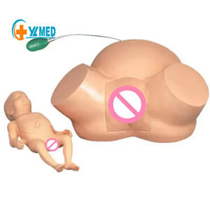 Geavanceerde Gynaecologische Bevallingstraining Die Verloskundige Bevalling En Verloskundige Trainingssimulator Voor Medisch Onderwijs Onderwijst - Product Image 1