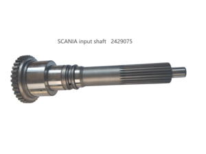 Produttore OEM per Albero di Trasmissione Ingresso 1° Marcia per Camion EURO, Adatto per ZF <span class=keywords><strong>SCANIA</strong></span> <span class=keywords><strong>DAF</strong></span> MERCEDES BENZ 2429075 - Product Image 1