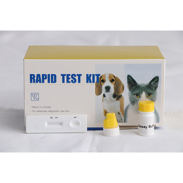 Kit de prueba rápida de anticuerpos de Leptospira canina para perros, kit de prueba rápida de Leptospira para perros, kit de prueba veterinaria Para perros mascotas