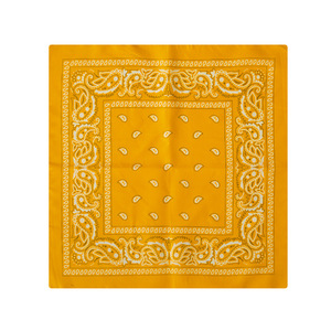 <span class=keywords><strong>Cou</strong></span> élégant Bandana écharpe Bandanas de haute qualité pour hommes femmes Cowgirl Bandana visage couverture Cowboy Western accessoires de plein air - Product Image 4