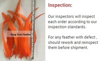 Plumes de coq teintées pour artisanat, déguisements de fête, carnaval, Noël, accessoires de chapeau, décoration d'Halloween