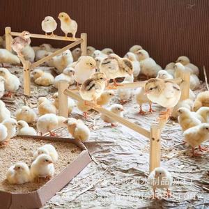 Solid Wood <b>Bird</b> Perch Triangle Shape Durable For Chicken Duck Goose Pet Training <b>Stand</b> - Product Image 3