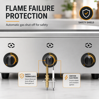 Équipements de barbecue professionnels pour restaurants, gril à gaz GPL commercial en acier inoxydable, fournisseur de grils à gaz