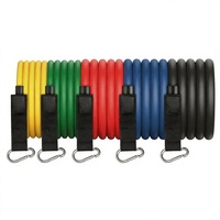 Ensemble de 11 bandes de résistance en latex portables pour fitness, avec ancre de porte, sangle de cheville et sac de transport pour l'entraînement de musculation